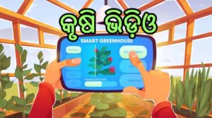 କୃଷି ଓ ଆନୁସାଙ୍ଗିକ ଭିଡିଓ