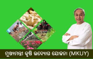 ମୁଖ୍ୟମନ୍ତ୍ରୀ କୃଷି ଉଦ୍ୟୋଗ ଯୋଜନା (MKUY)