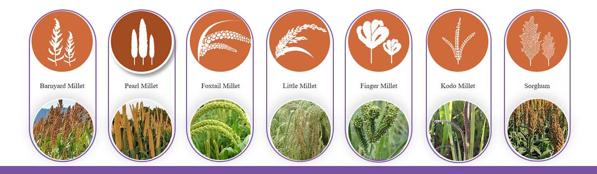 Types of Millets