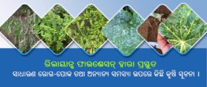 କୃଷି ସମ୍ୱନ୍ଧୀୟ ଦରକାରୀ ସୂଚନା