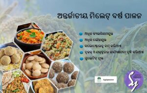 ବାର୍ନୟାର୍ଡ ମିଲେଟ୍ ର ୬ଟି ସ୍ୱାସ୍ଥ୍ୟ ଉପକାରିତା