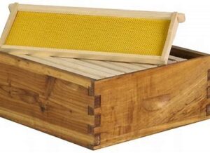 Honey bee box