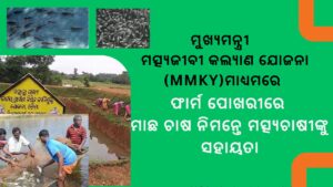 ଫାର୍ମ ପୋଖରୀରେ ମାଛ ଚାଷ ନିମନ୍ତେ ମତ୍ସ୍ୟଚାଷୀଙ୍କୁ ସହାୟତା