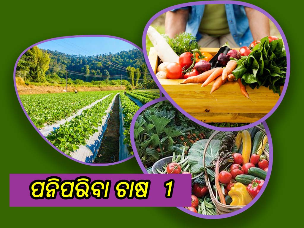 Vegetable cultivation