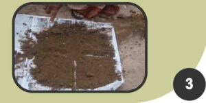 Soil sample-3