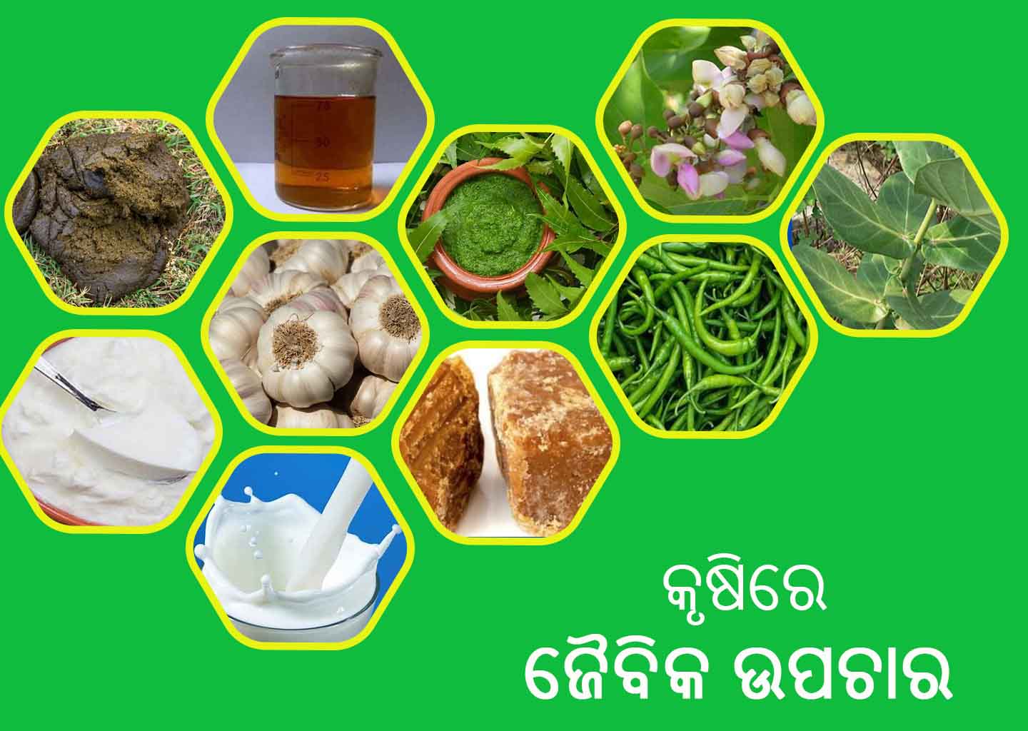 କୃଷିରେ ଜୈବିକ ଉପଚାର